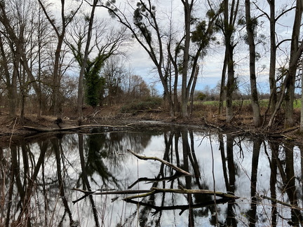 23-02-18 16-36-29 4279